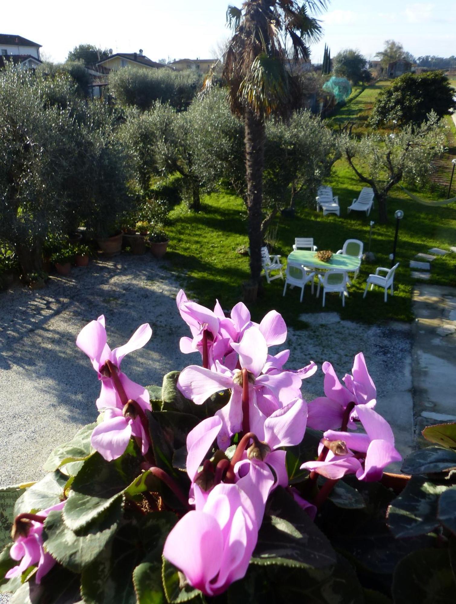 La Casa Di Silvia Massarosa Exterior foto